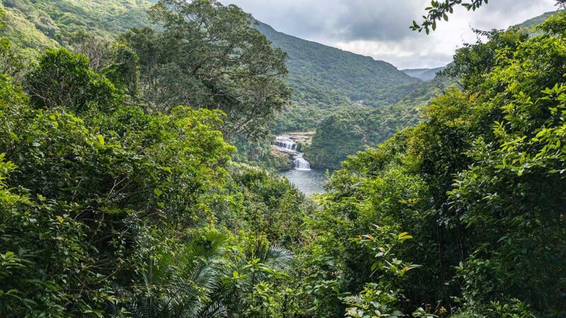 ジャングルの雰囲気は伝わるけど、マリユドゥの滝が遠い
