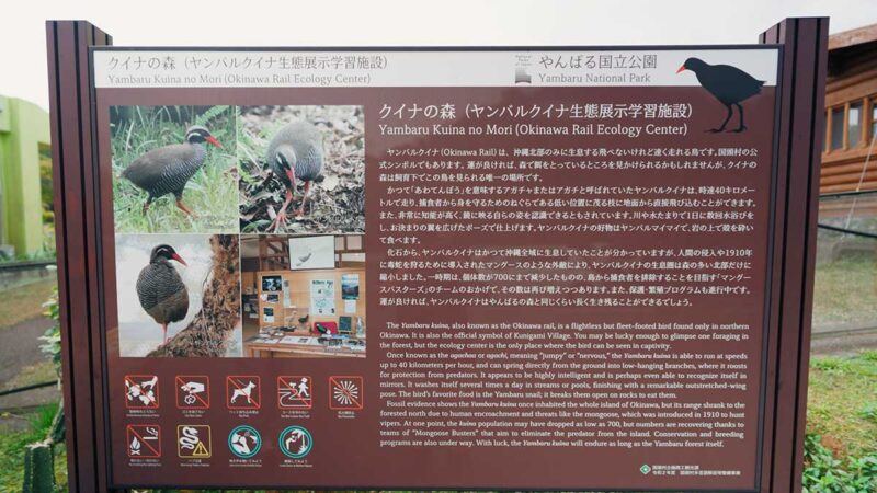 ヤンバルクイナ生態展示学習施設 クイナの森の外にある案内板